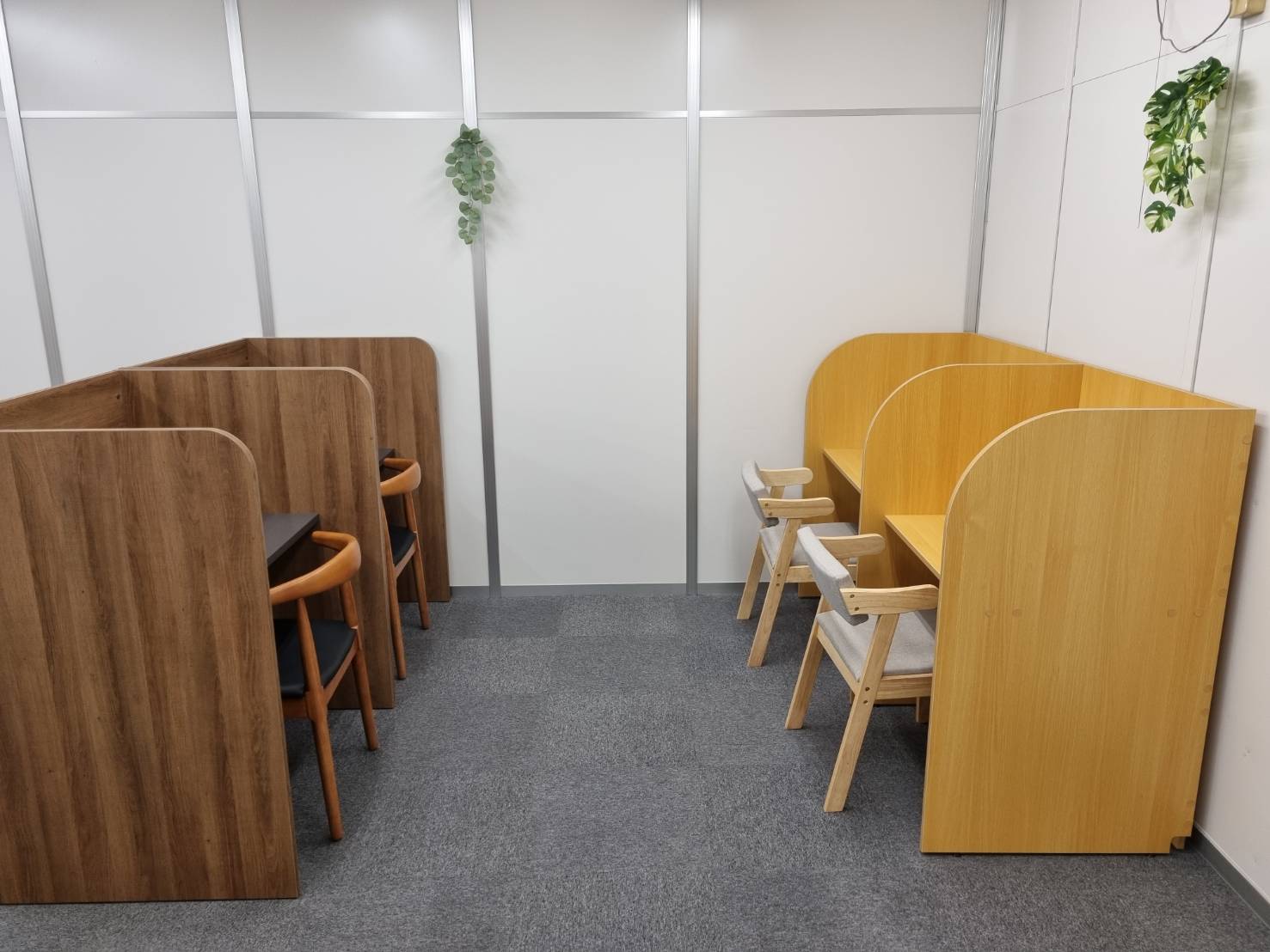 Cube Zone キューブゾーン